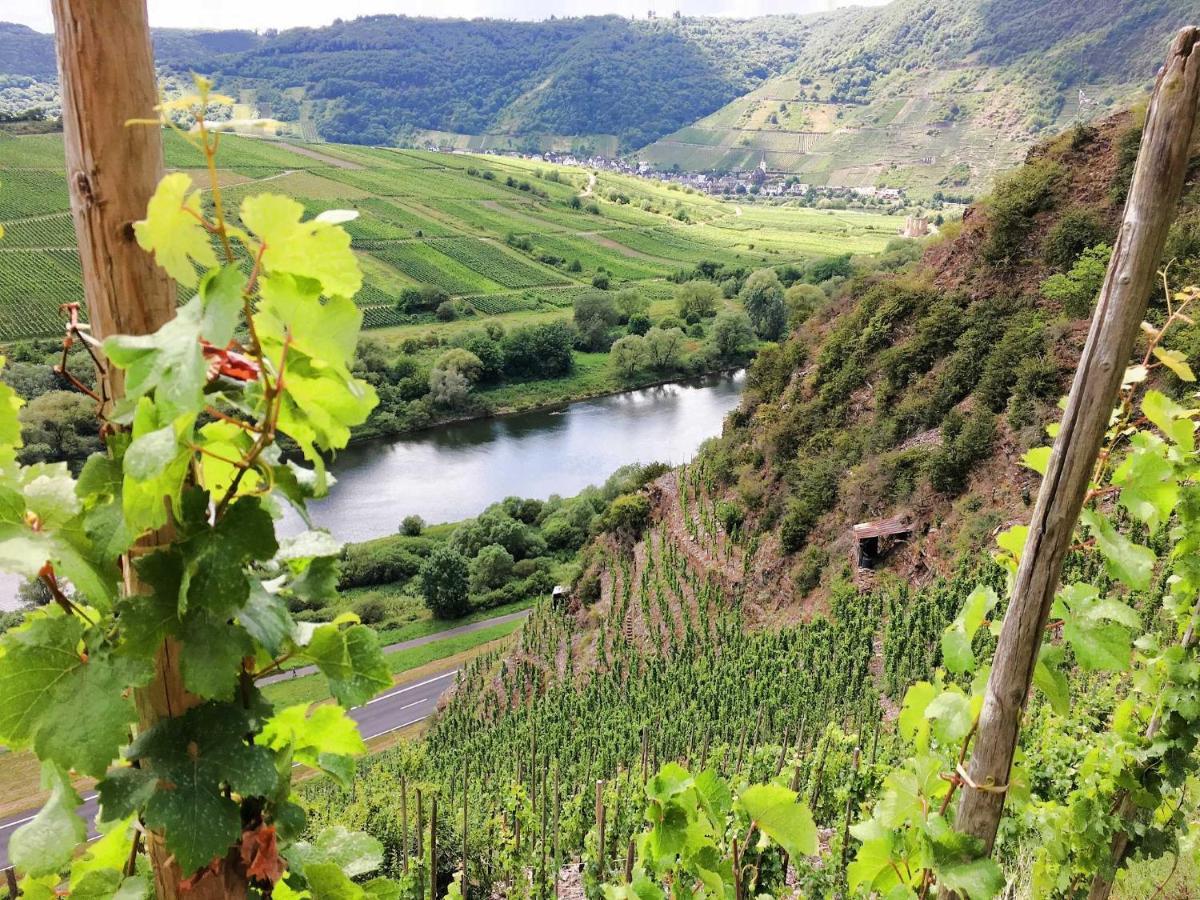 Ferienwohnungen Merl Zell an der Mosel Zewnętrze zdjęcie