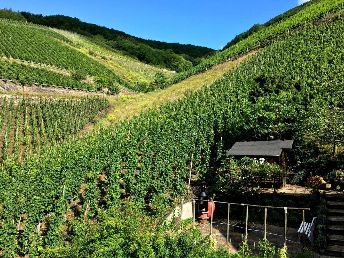 Ferienwohnungen Merl Zell an der Mosel Zewnętrze zdjęcie