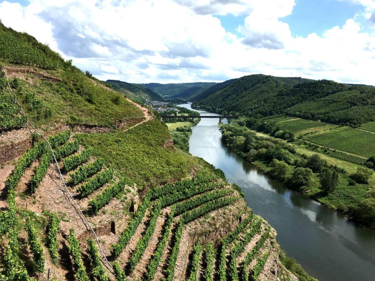 Ferienwohnungen Merl Zell an der Mosel Zewnętrze zdjęcie